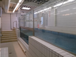 Swimming Channel for Training and Performance Diagnostics