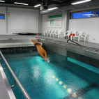 Swimming Flume at the IAT Leipzig - Galery