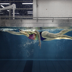 Swimming Flume at the IAT Leipzig - Galery