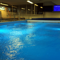 Counter-Current Pool in Horgen - Gallery