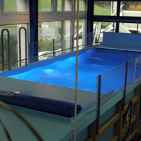Counter-Current Pool in Horgen - Gallery